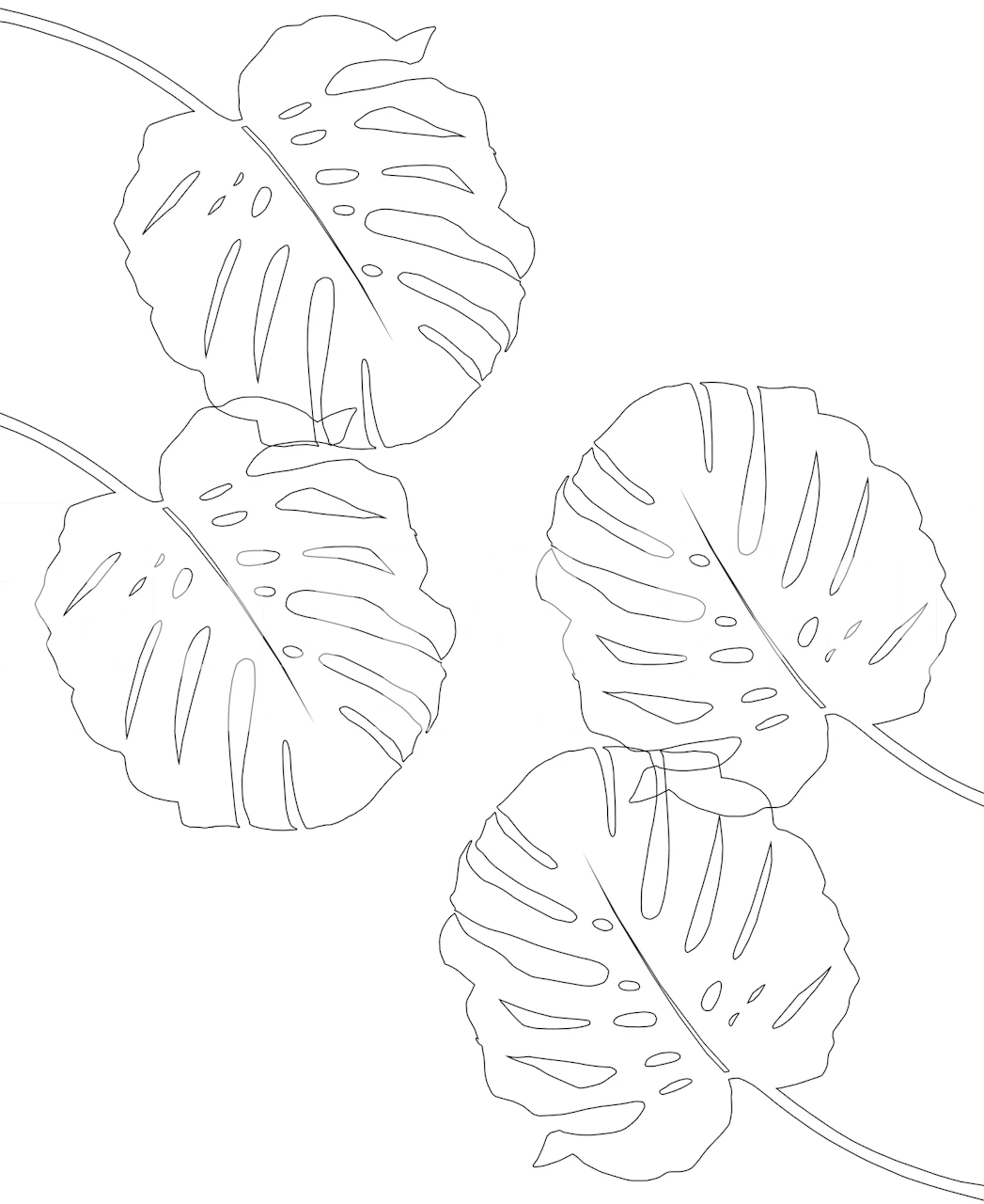 Rysunek linii fototapety z liśćmi Monstery do nowoczesnego, minimalistycznego wystroju