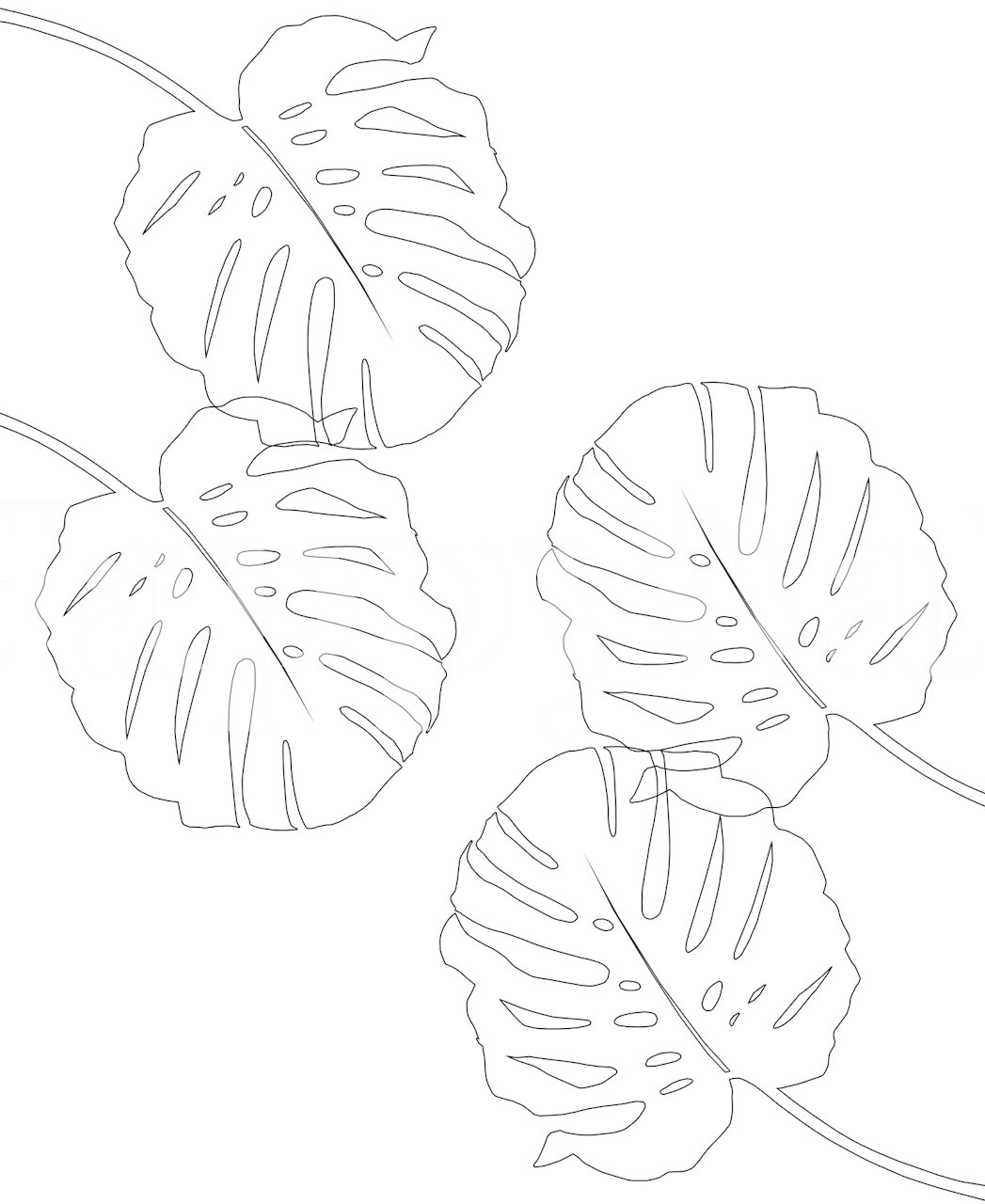Stregtegning af Monstera blade vægmaleri til moderne minimalistisk indretning