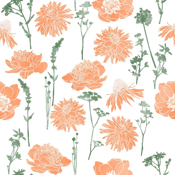 Blossom Sketch Delights