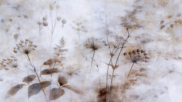 Ethereal Botanic Dreams