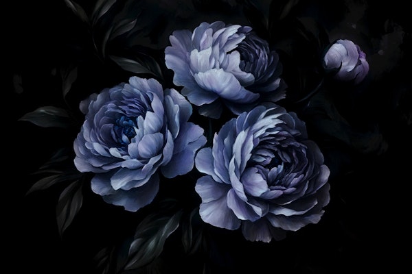 Midnight Blue Peony Garden