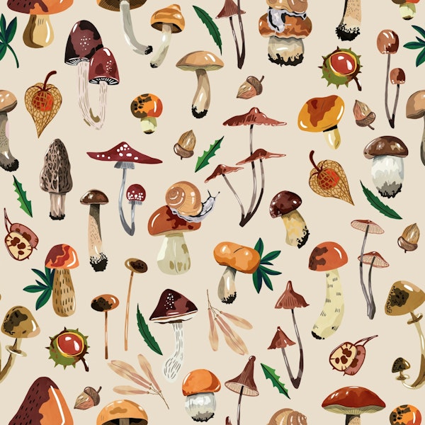 Forest Fungi Fiesta