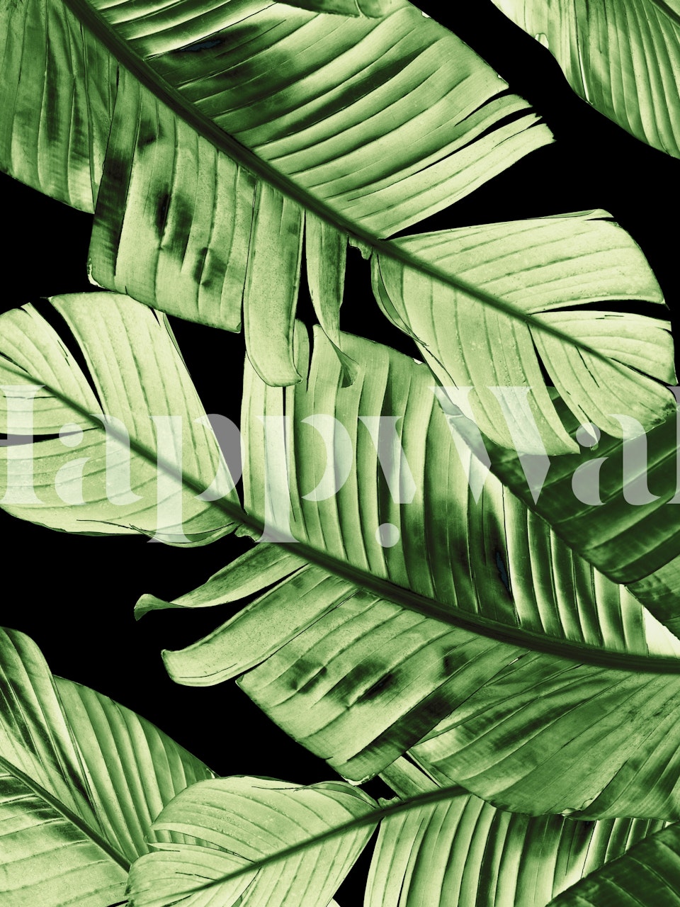 Salaperäinen ja rehevä banaaninlehtien seinämaalaus tummanvihreän sävyin