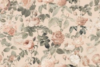 Pierre-Joseph Redoute French Roses Peach papiers peint