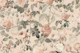 Pierre-Joseph Redoute French Roses Peach