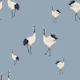 Elegant Crane Dance