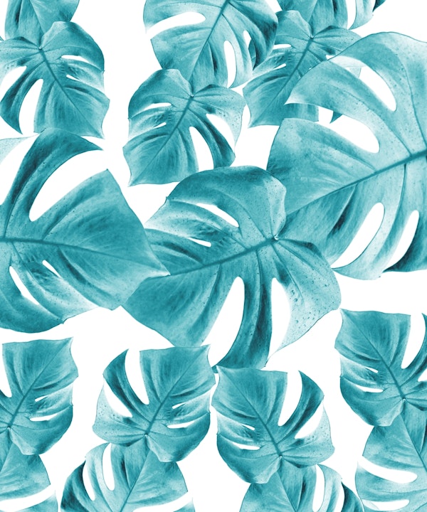 Monstera Leaves Summer Vibes 2