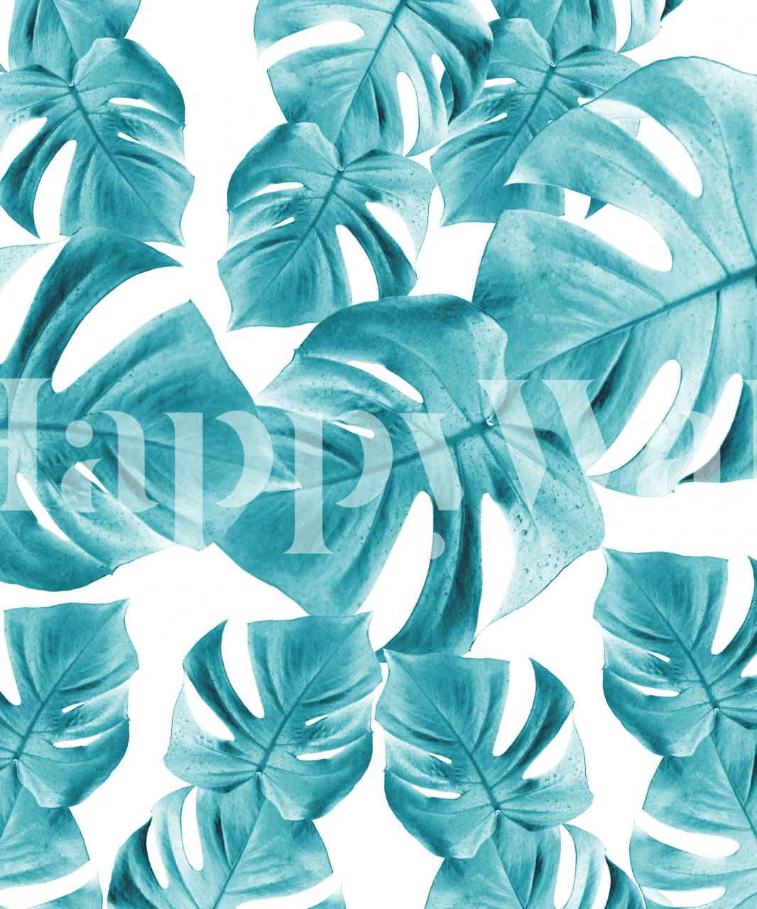 Monstera leaves in teal on white background wallpaper