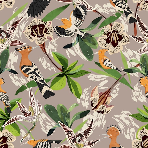 Tropical Birds Haven