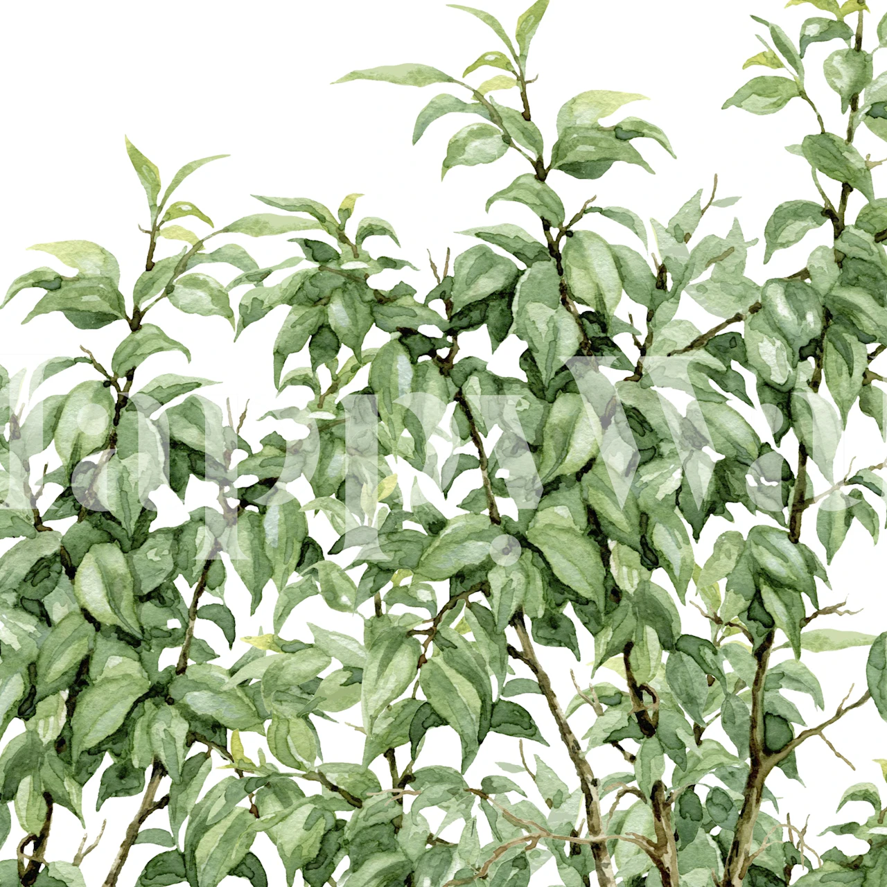 Fresh Foliage Bliss wallpaper in a room