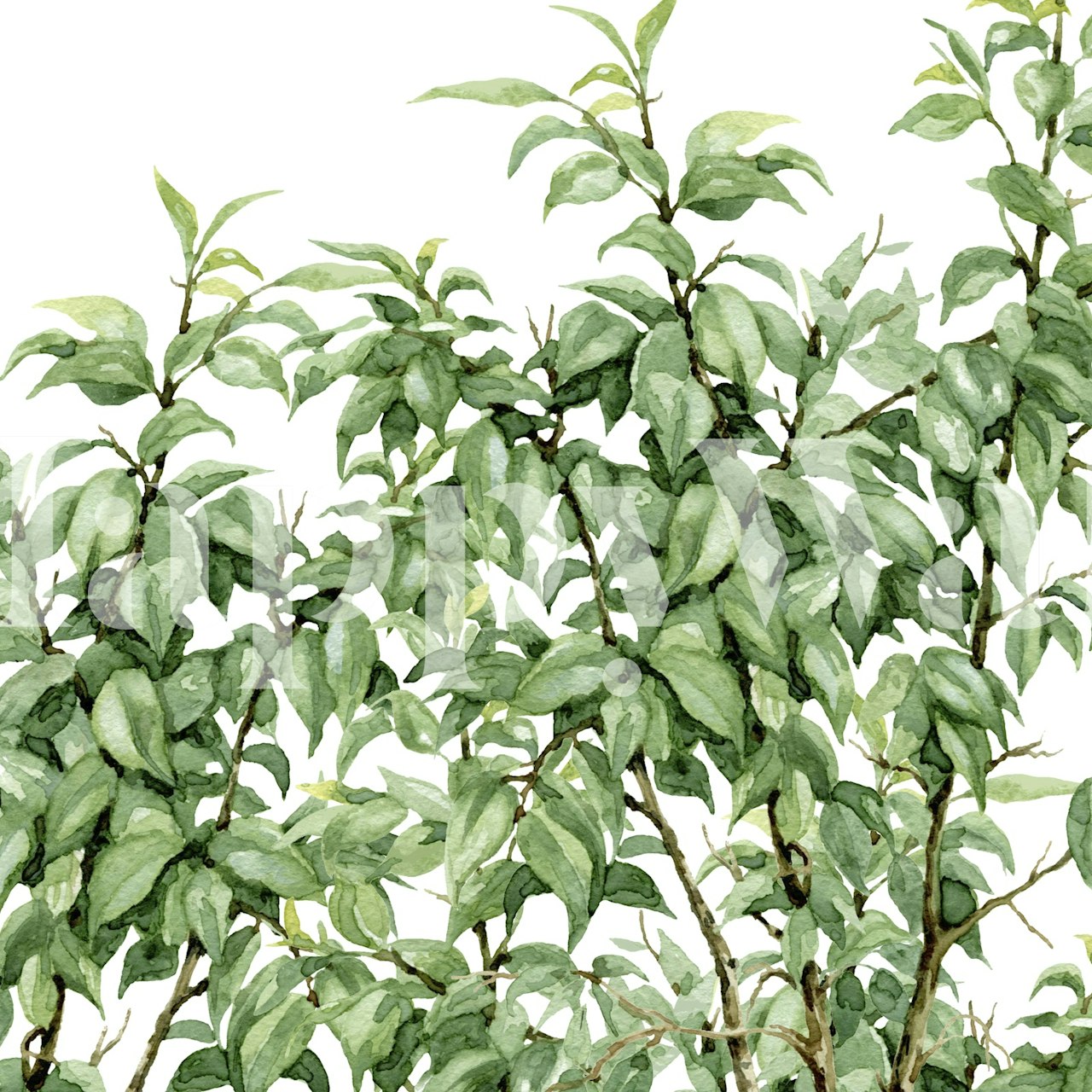 Fresh Foliage Bliss wallpaper in a room