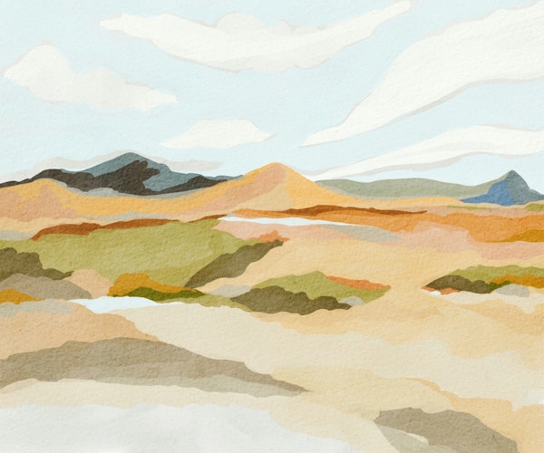 Serene Desert Canvas