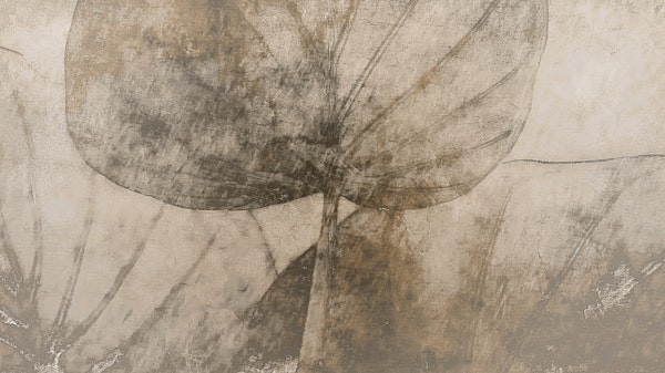 Botanical Shadow Play