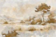 Rustic Countryside Scene