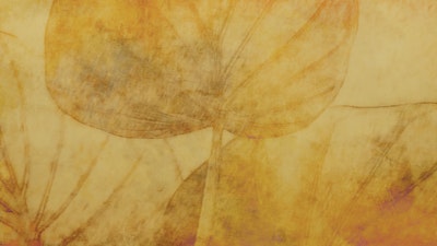Murale