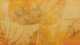 Golden Botanic Essence