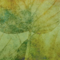 Enchanted Garden Leaf wallpaper