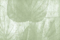 Rustic Brush Strokes Leaf tapet