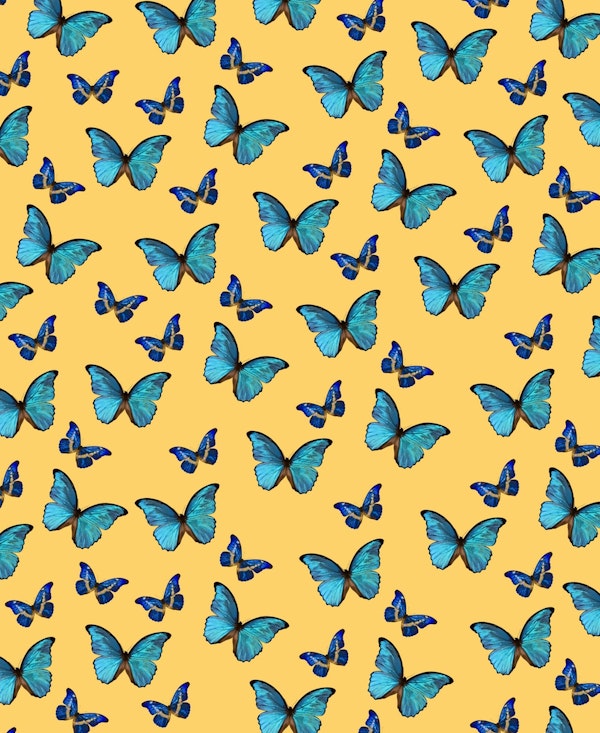 Blue Yellow Butterfly Glam 1