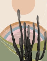 Cactus in the Desert 2 wallpaper