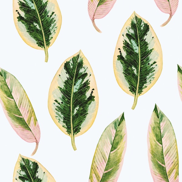 Eco Chic Leaf Decor