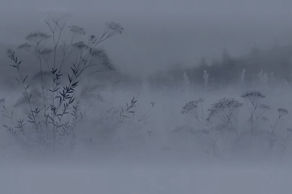 Moody Meadow Tranquility