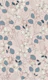 Floral elegance relaxed subtle contrasts