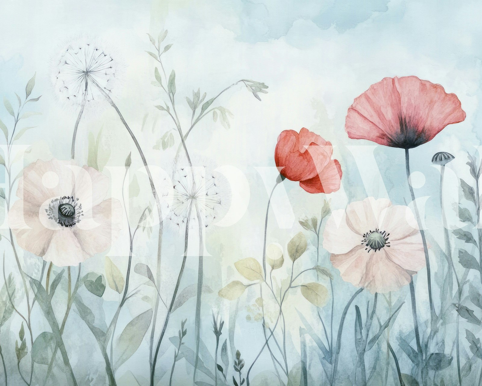 Watercolor poppies wildflower meadow wallpaper sample