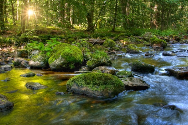 Ilsetal at Harz Mountain