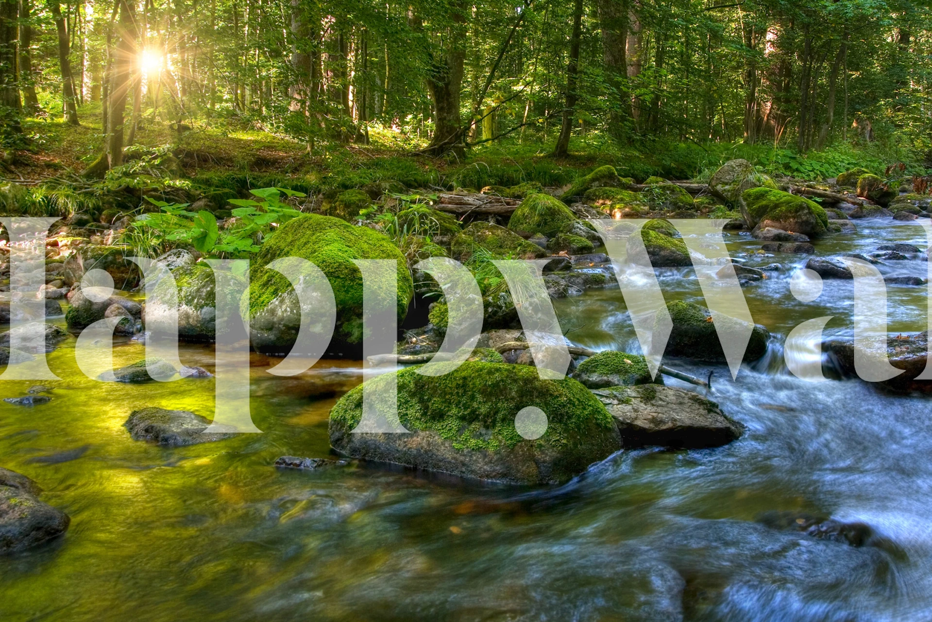 Lush forest scene with green mossy rocks and flowing water wallpaper