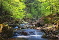 Ilsetal at Harz papel de parede