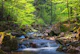 Ilsetal at Harz