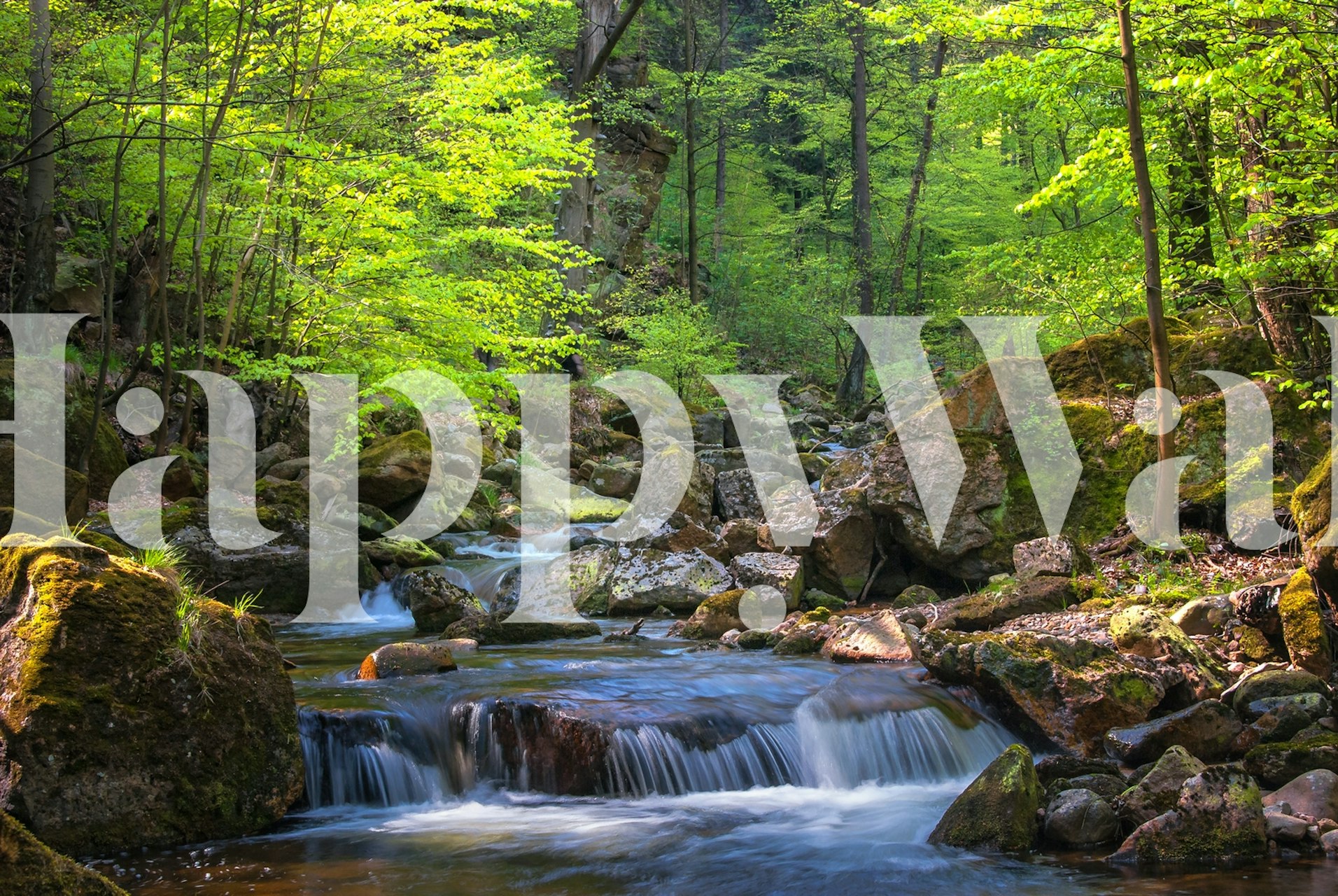 Ilsetal at Harz wallpaper in a serene setting