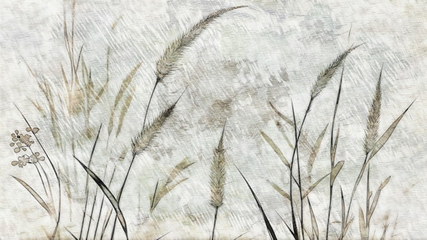 Dreamy Watercolor Grass