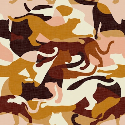 Pattern