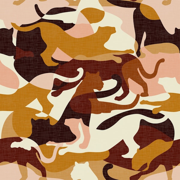 Color Blocking Safari Earth Tones WP