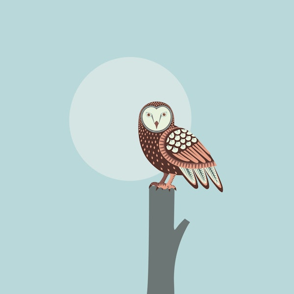 Barn owl at moonrise light blue