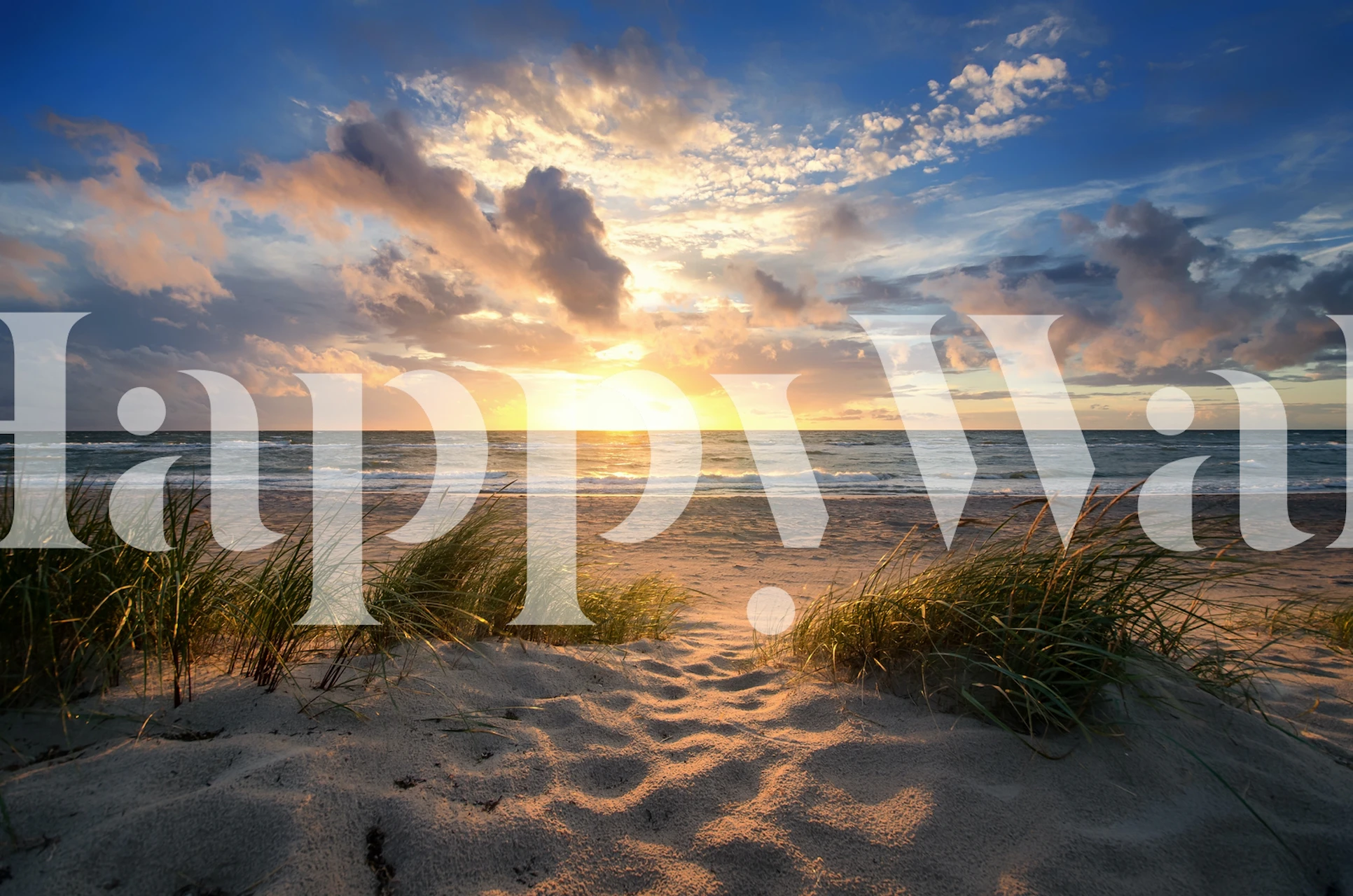 Beach sand and grass with golden sunset sky wallpaper