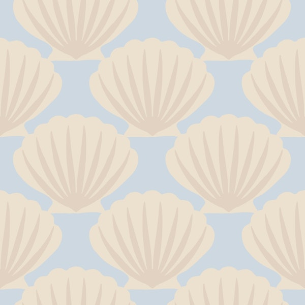 Seashell Powder - large scale