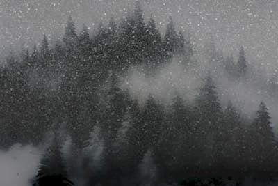 Τοιχογραφία