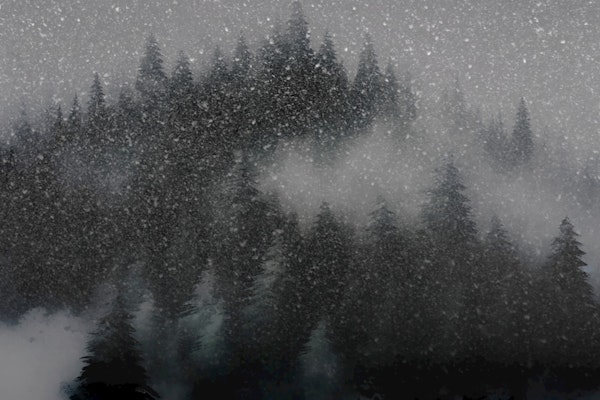 Snowy Forest Serenity