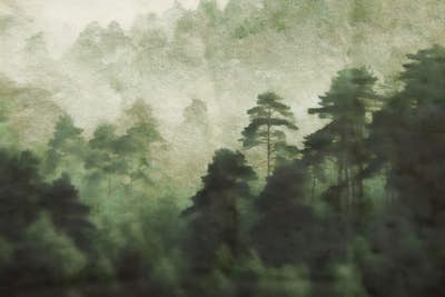 Τοιχογραφία