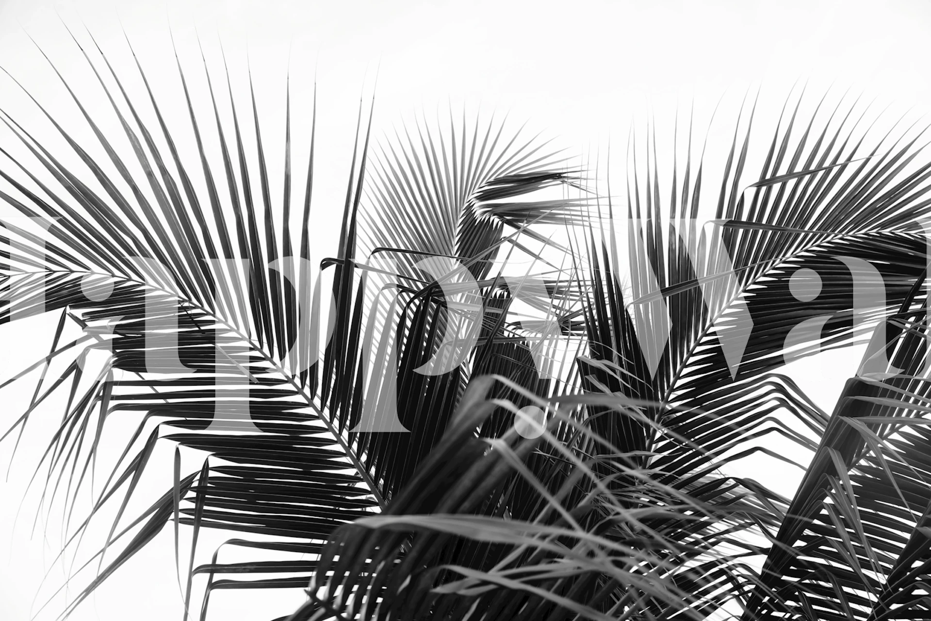 Lush Caribbean palms Tapete in einem Raum