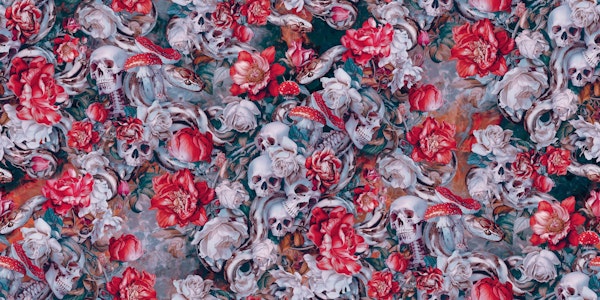 Skulls and Snakes Legacy