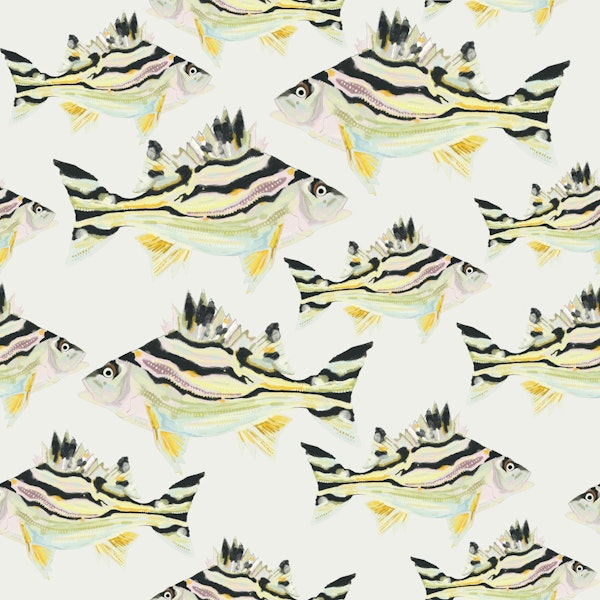 Jarbua - The Fish 01