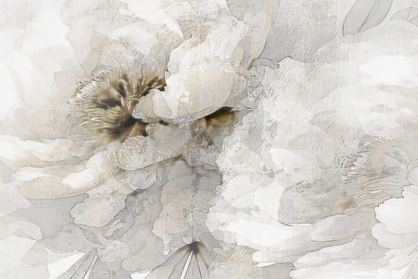 Creamy Bloom Serenity