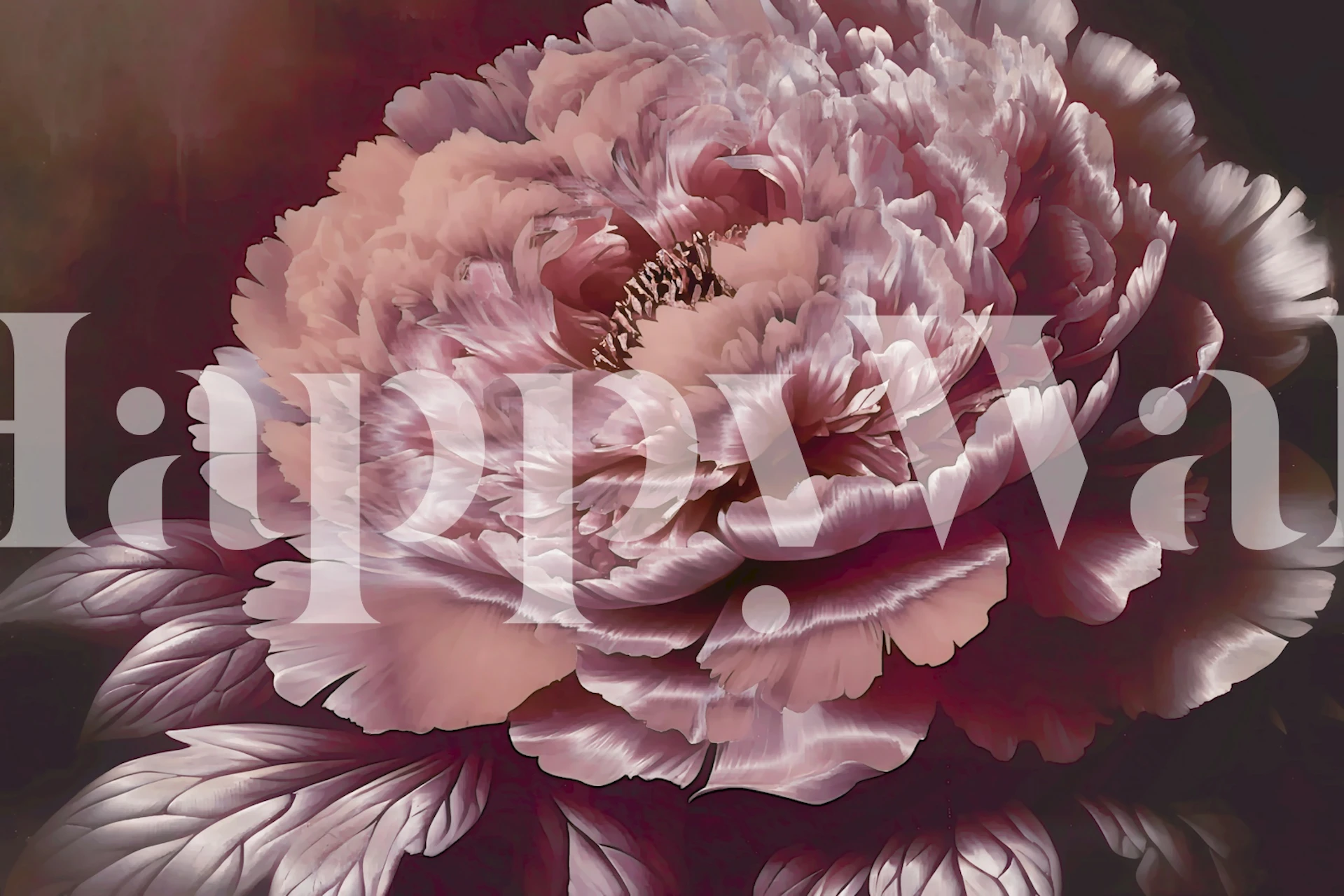 Large pink peonies on dark background floral wallpaper