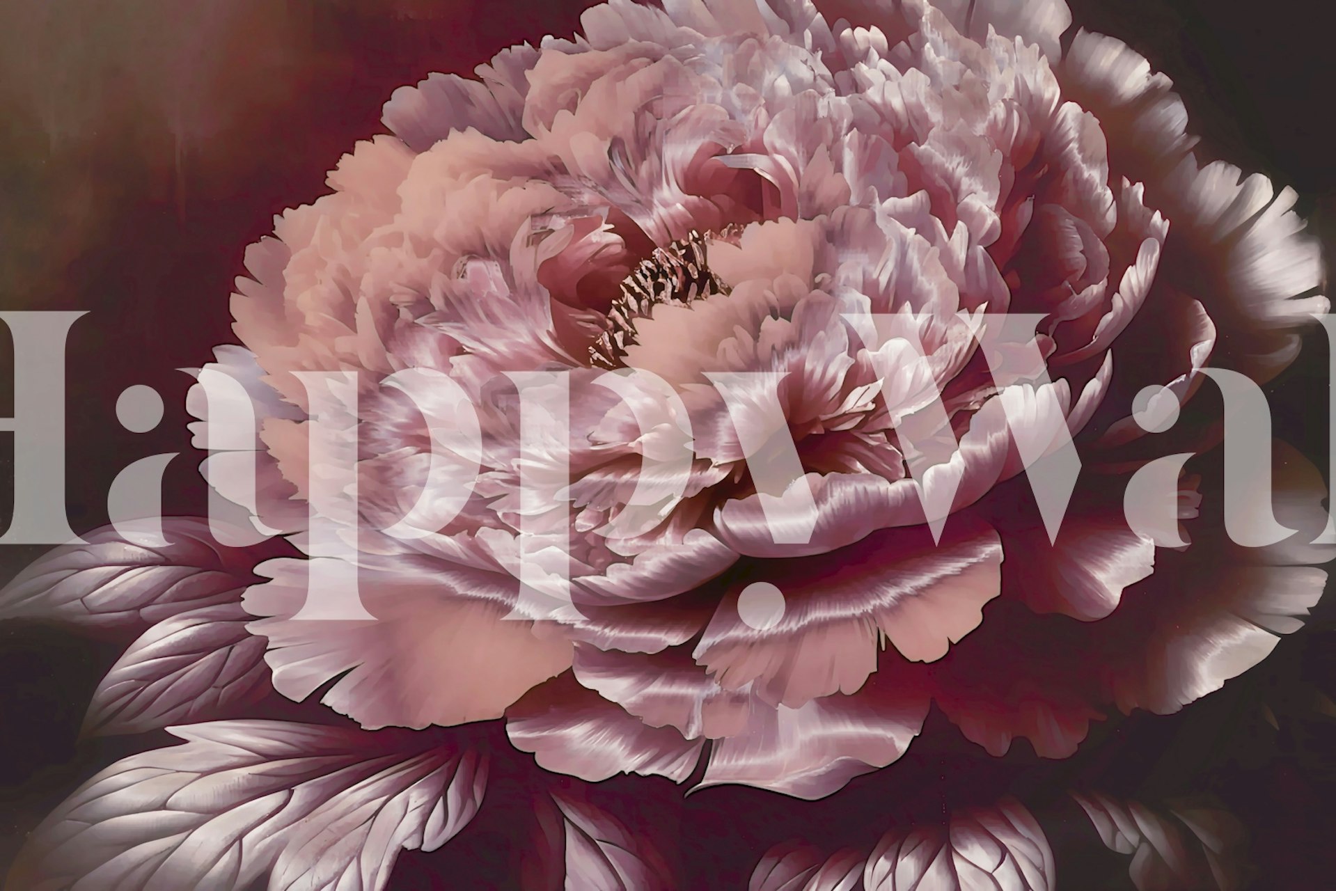 Large pink peonies on dark background floral wallpaper