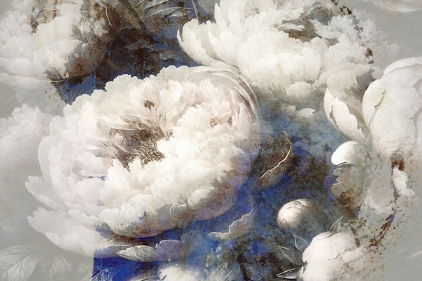 Peony Dreamscape