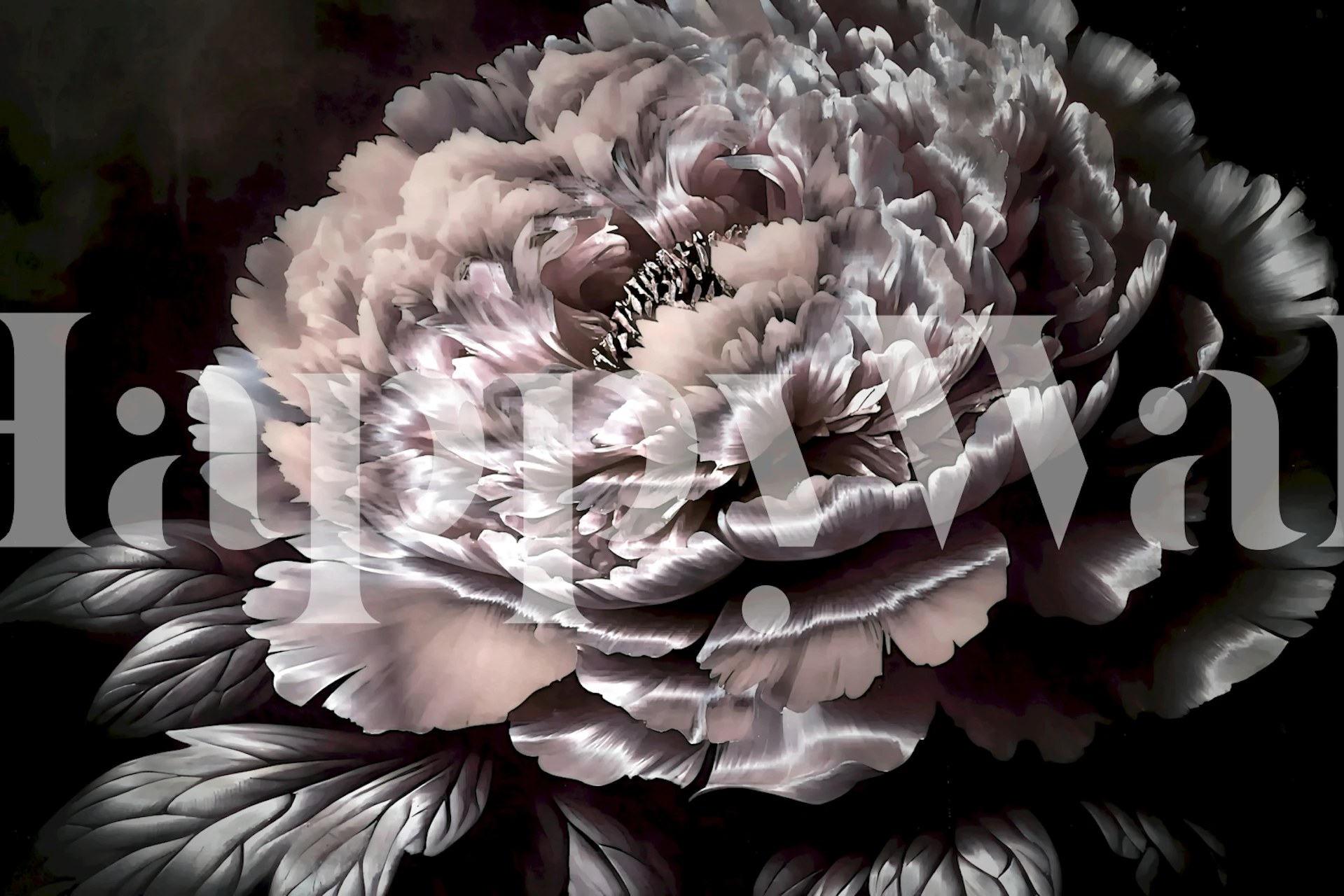 Tapeta Velvety Peony Dream v místnosti